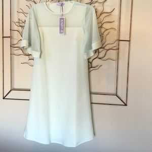 NWT Maternity Dress